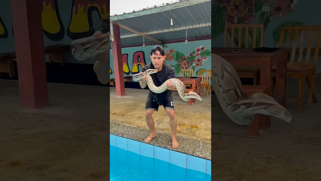 Kolam renang nya kemasukan ular #shorts #minivlog #bocilwargads #maspreman