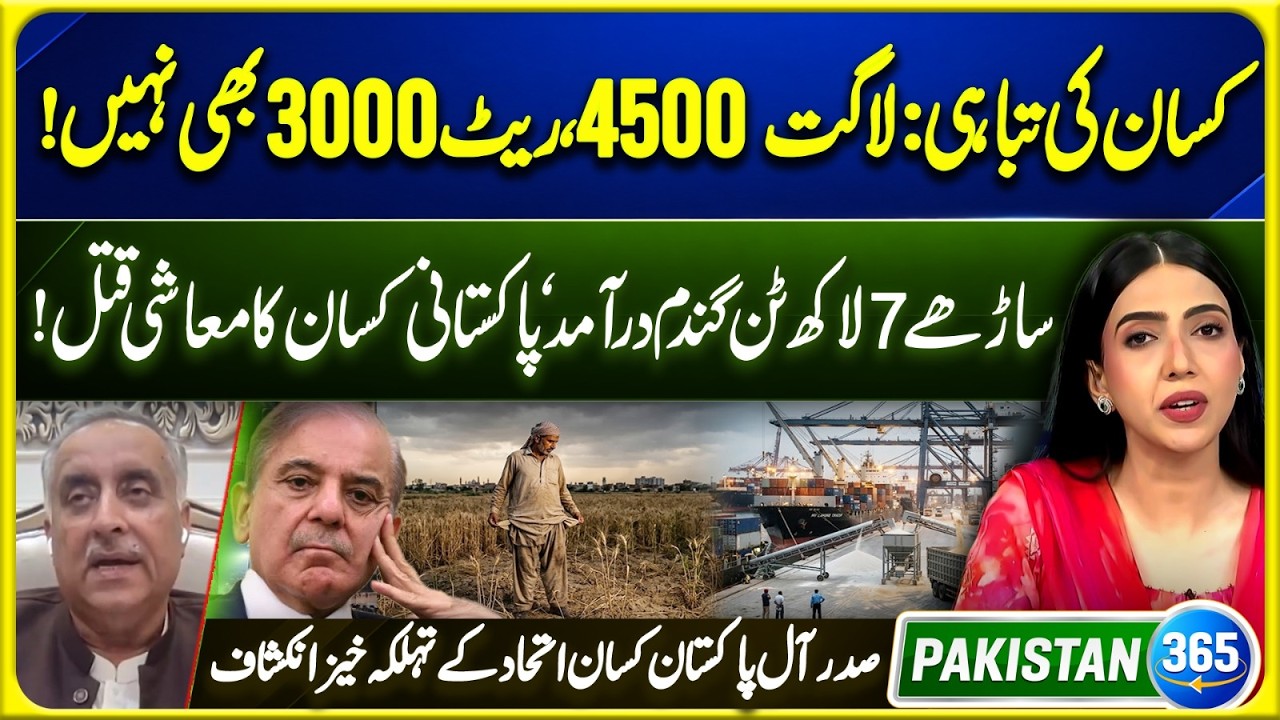 Wheat Costs Rs 4,500 But Sells Below Rs 3,000! Farmer Shocking Revelation | Pakistan 365 | EP 26