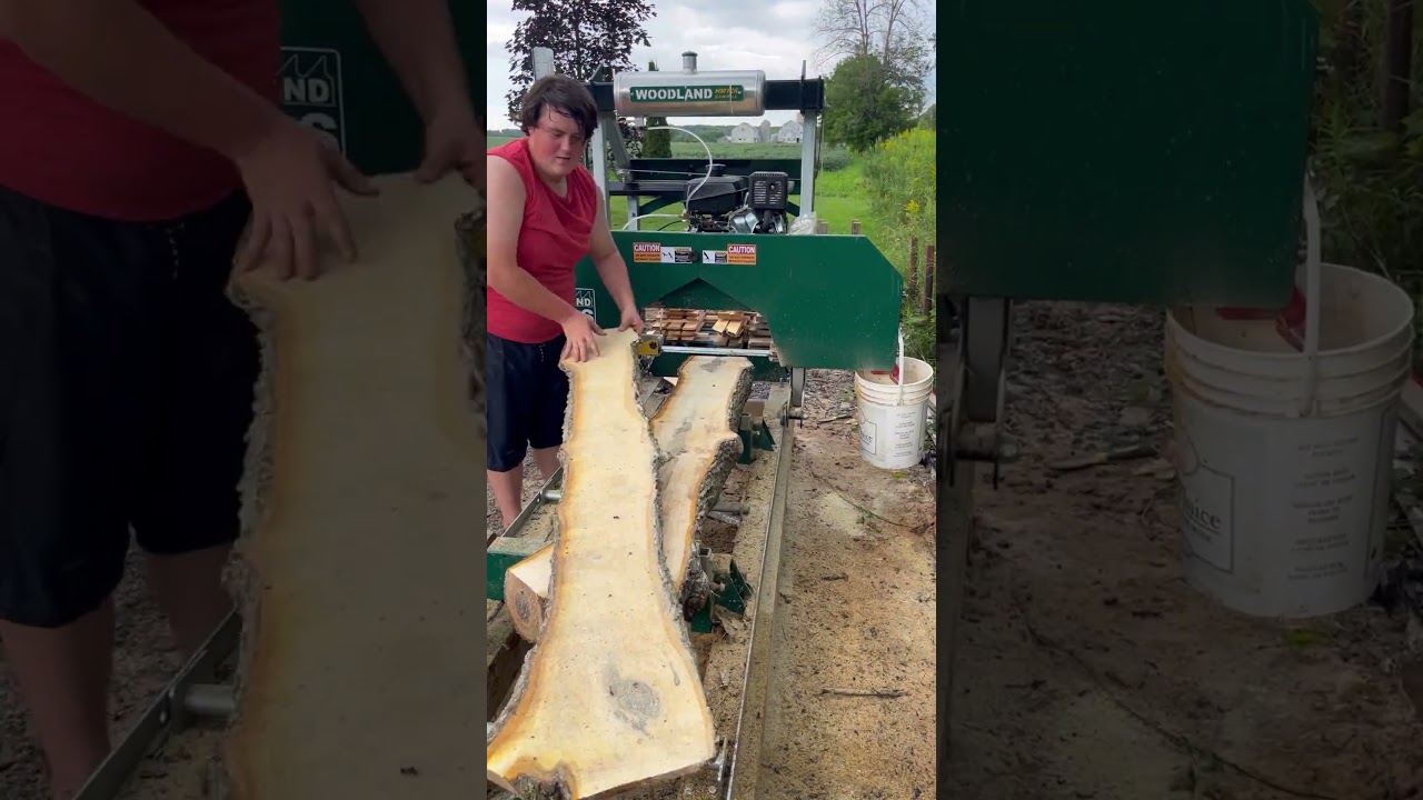 Black walnut log on my Sawmill! These slabs should be dry in a few years! #sawmill #sawyer