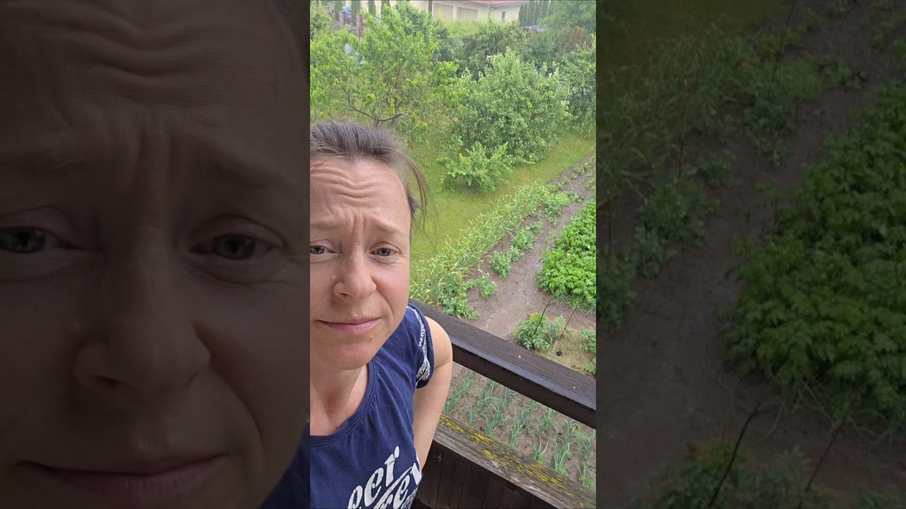 Чокак у вас с погодой сегодня?#деревня #огород #грядки #погода #лайфхак