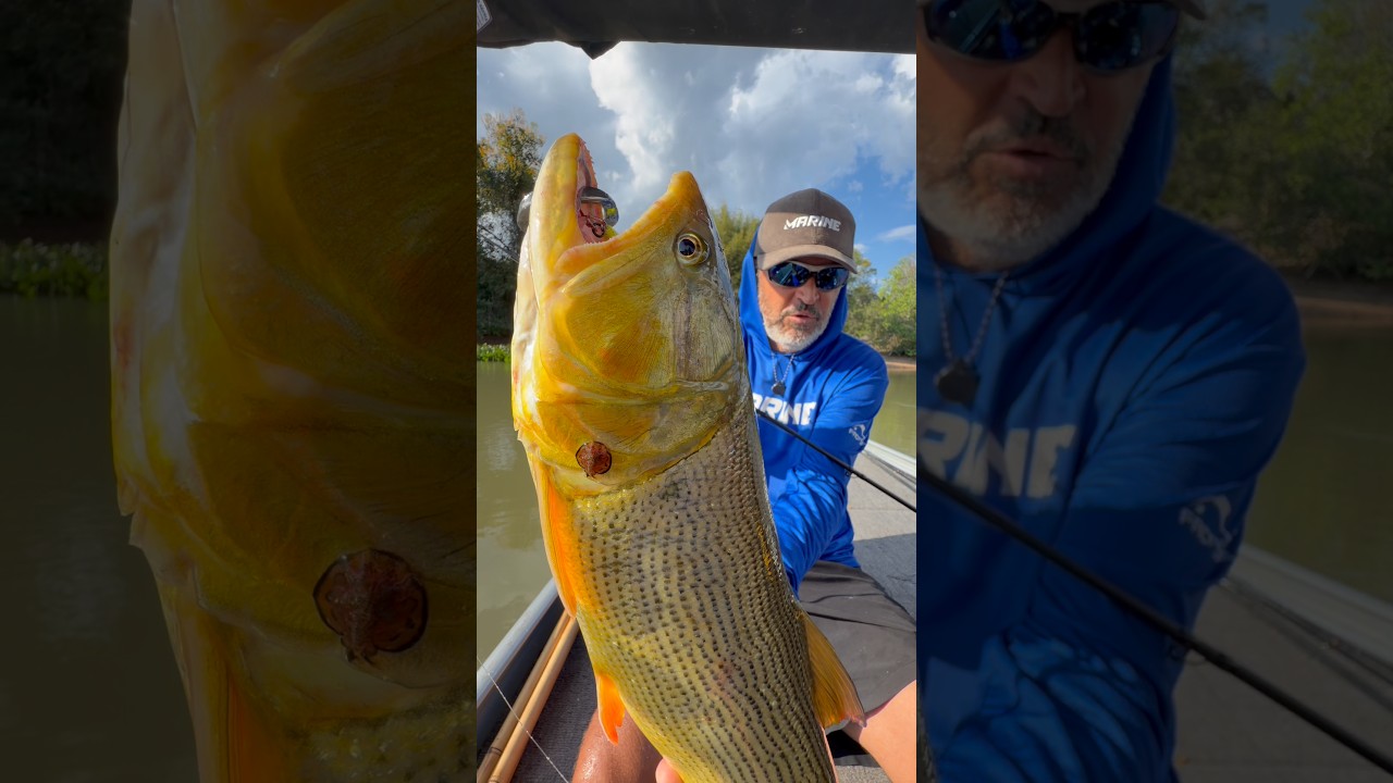 AQUI É ANIMALLL!! #pescaria #pesca #fishing