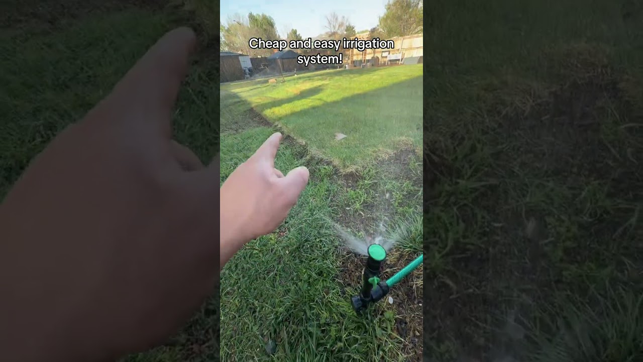 #lawn #bigdreamstartsmall #tiktokshopmemorialday #tiktokshopcreatorpicks #tiktokshopstockup
