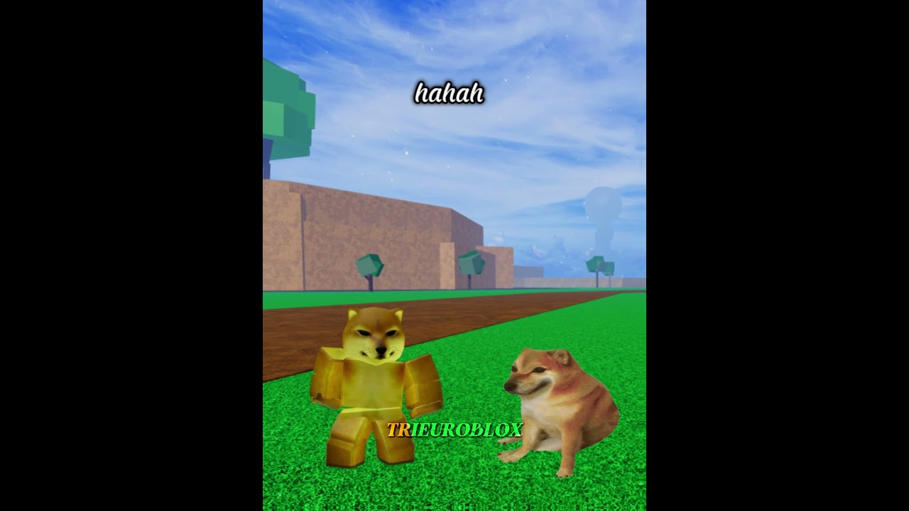 Tình hình anh em chơi Blox fruits kiểu :)) #trieuroblox #memes #hai #cheems #shorts #bloxfruits