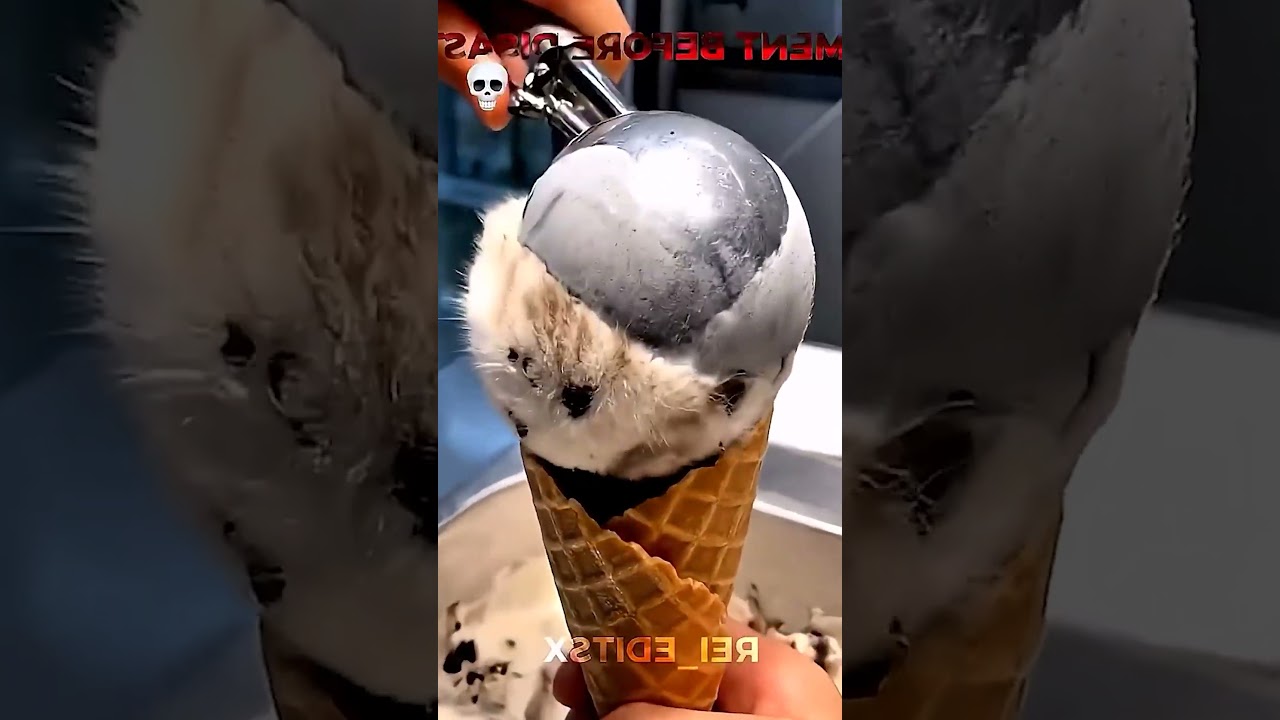 OMG  con gì đã biên ra từ cốc kem vậy #funny #shortsyoutube