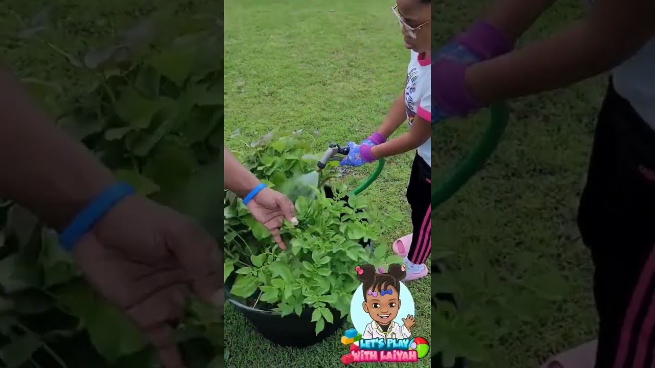 Just Me and My Plants | Garden Fun | Kids Gardening