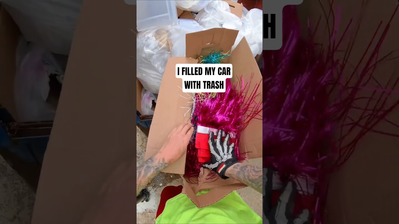 I filled my car with "trash" dumpster diving!