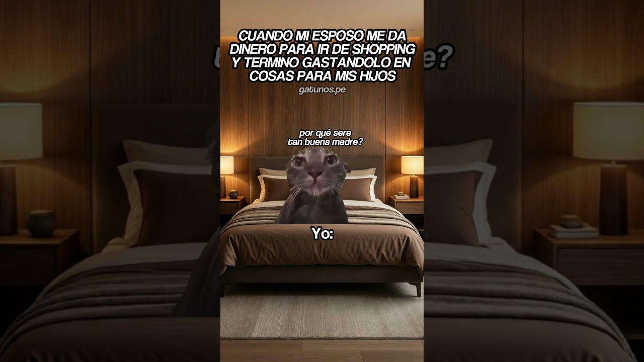 😂 #gatitoslindos #storytime #cat #gato #funnyvideo #fyp #memes #humor #michis #viral