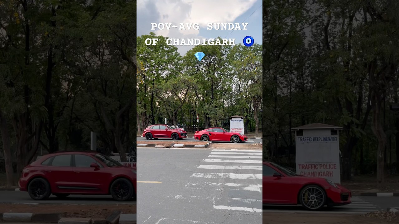 AVG SUNDAY OF CHANDIGARH 🏎️      #automobile #cars #supercars #porsche #bmw #BmwM4 #Porsche911 #z4
