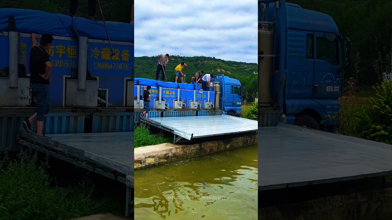 The most satisfying fish stocking you've EVER seen! 🐟🌊 #fishinglife  #silverwaterfall  #shorts