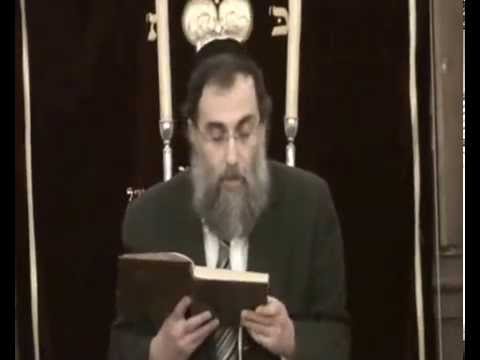 Cours du Rav Elie Lemmel "Ne fais point trébucher l'aveugle "