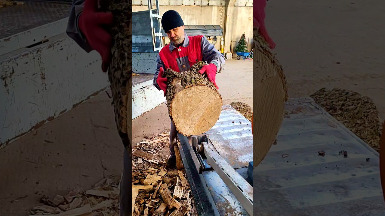 Perfect Log Splitting Skills in Action 😲 #shorts #firewood #woodworking