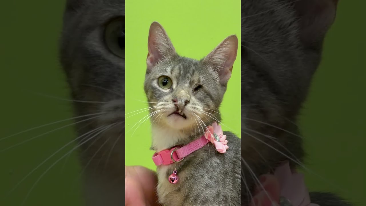 Las diferencias no son una razón para recibir menos amor