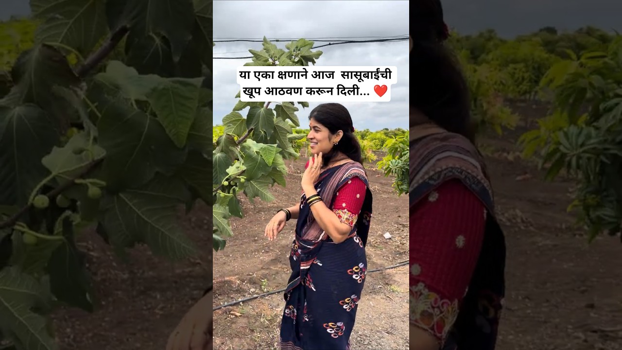 पावसाच्या सरी, अंजीर आणि सासूबाईंची आठवण... ❤️🥹