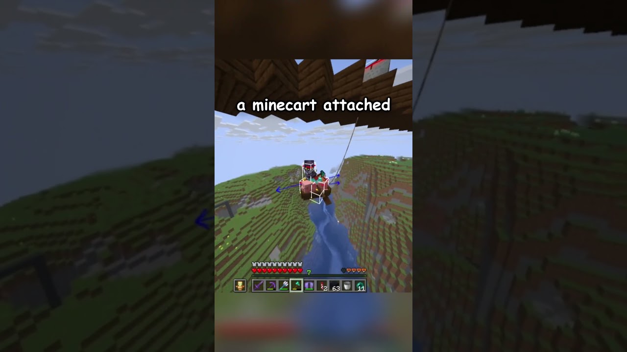 ZIPLINING WITH PIGS