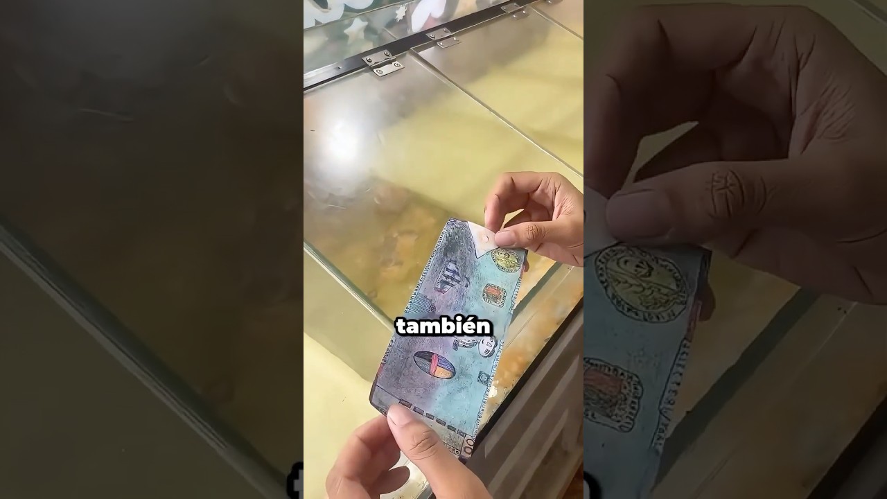 Dibuja Billetes a Mano para Comprar su Comida!