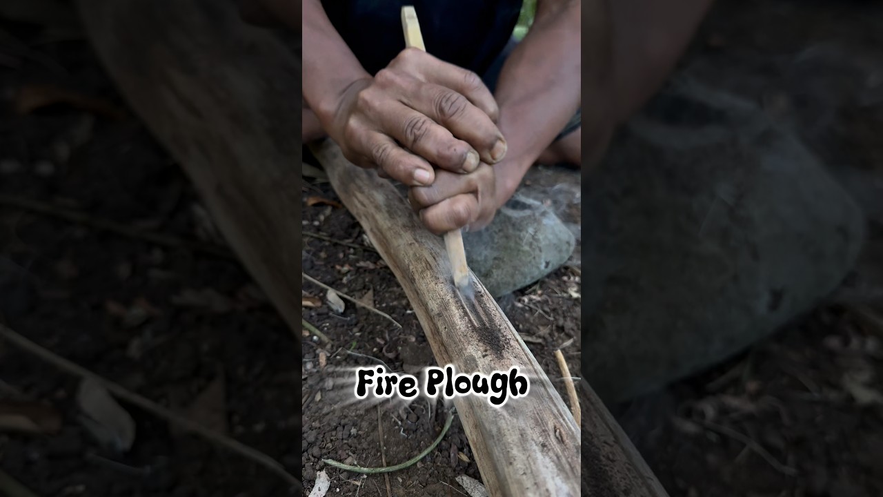 Jungle survival skills: making a fire with a bamboo stalk #primitivefirelighting #bushcraft