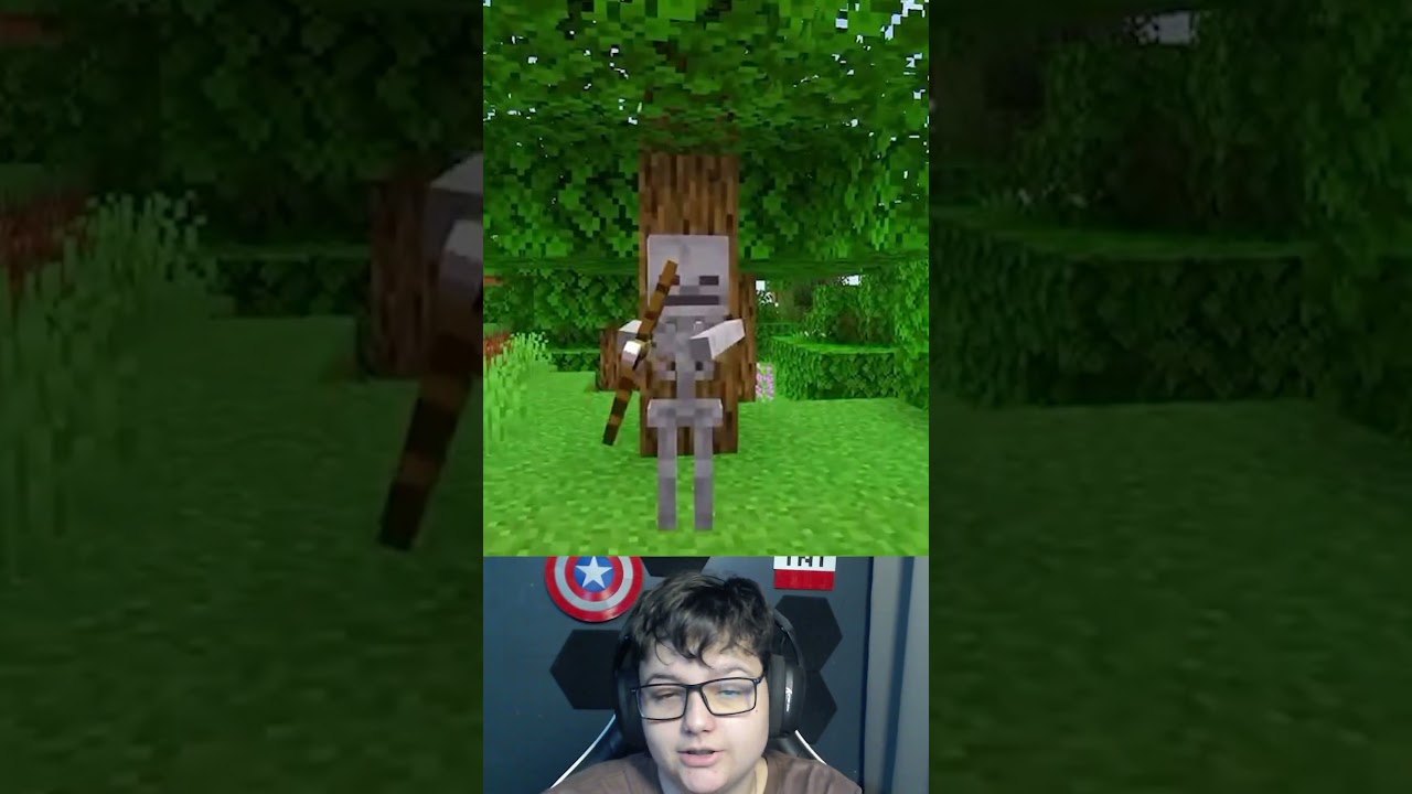 Esqueleto do Minecraft Java vs bedrock ☠️