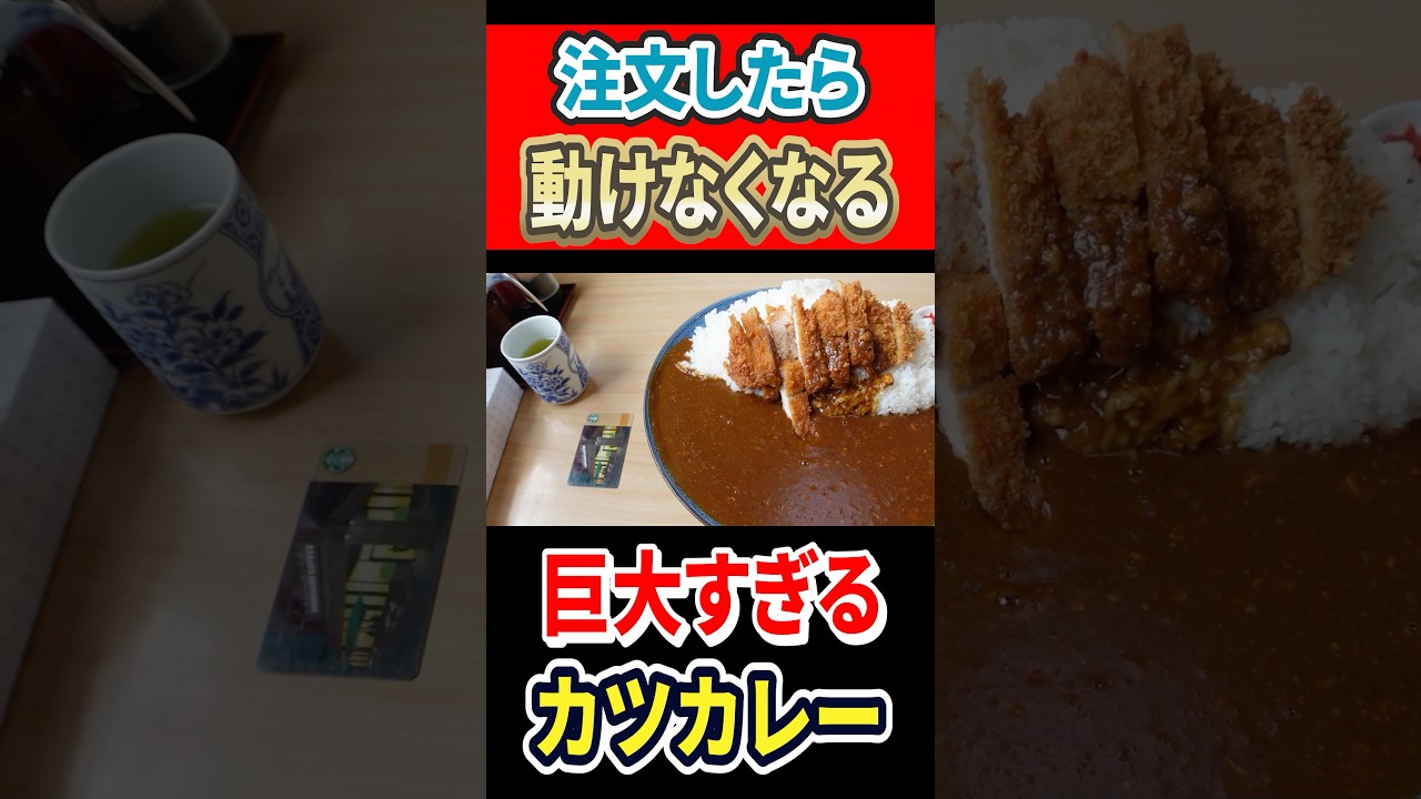 注文したら動けなるなる！巨大すぎるカツカレー！ #はいじぃ #グルメ #mukbang