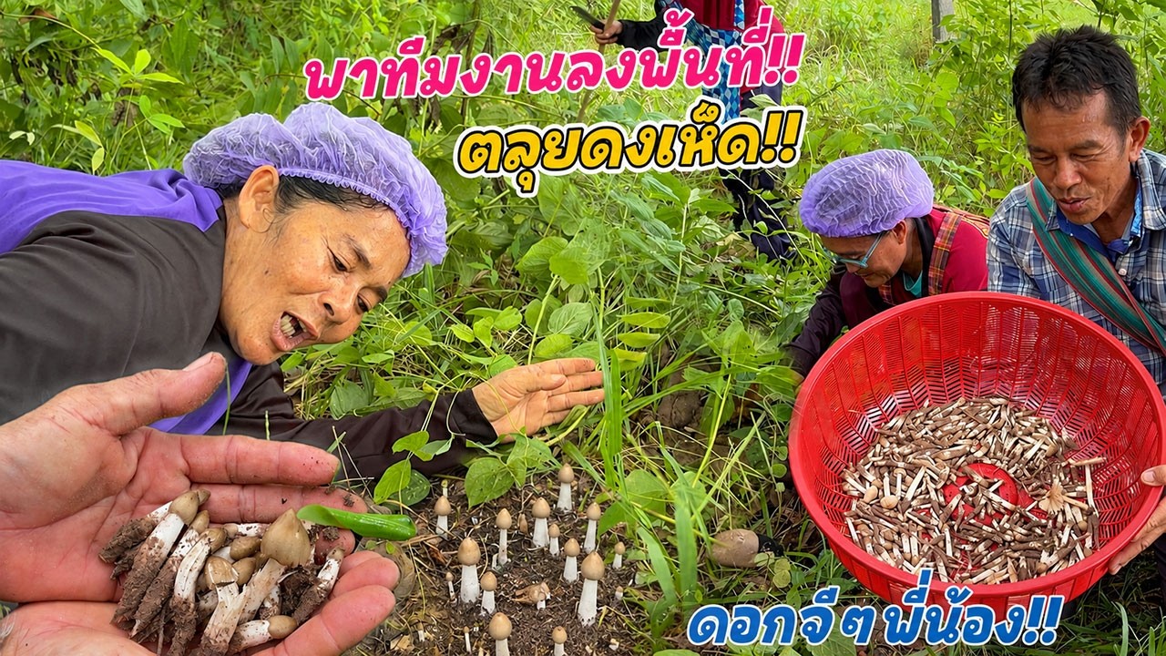 ออกอีกแล้ว!! ดอกจีๆจูมๆเต็มผุกขึ้นมา เต็มพื้น!! พาทีมงานลุยลงพื้นที่!!