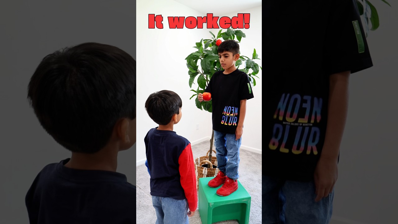 Kids Learn Trying Is Fun To Do! 🍎 Jay & Neil @CoComelon