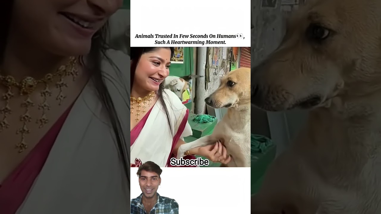 This dog 🐕 is behaving so friendly with this woman❤️🔥#dog #cute #viral #friends #ytshorts #funny