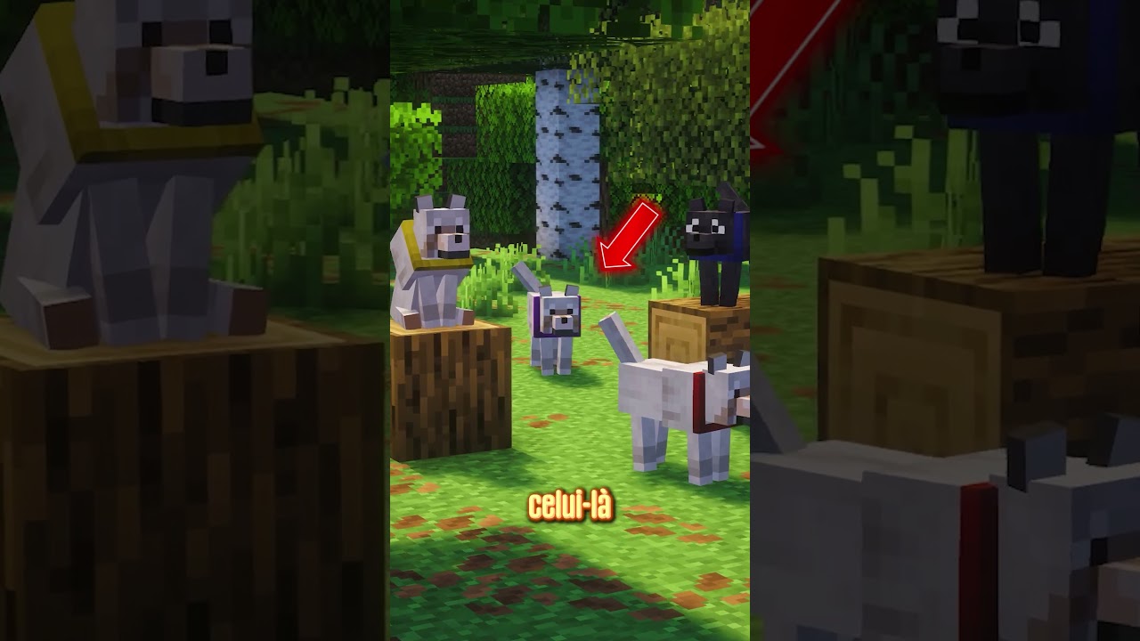 Qui est l'INTRUS ? 🤔