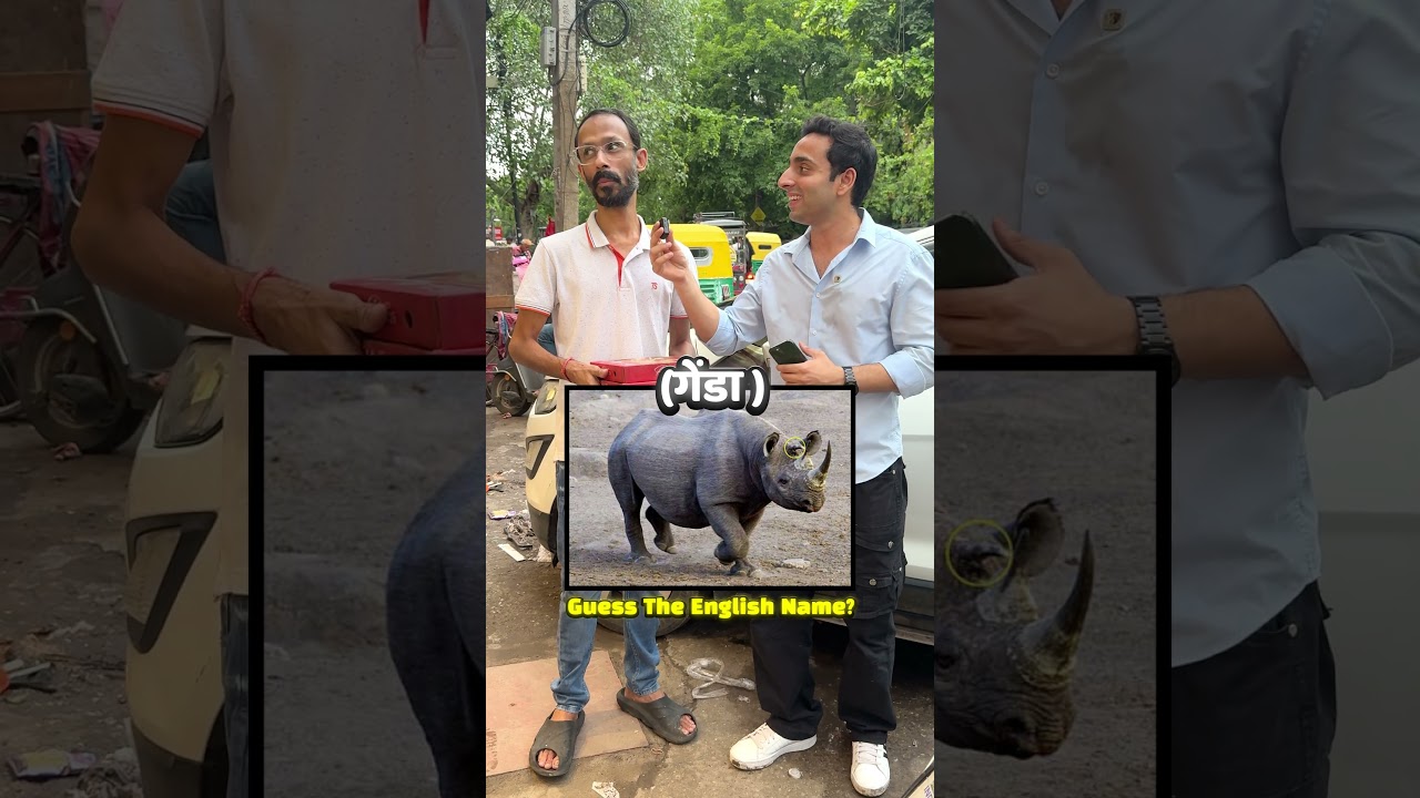 Tried Guess The Animal Name In English For Amazing Cheese Pizza 🤩🍕 #shorts