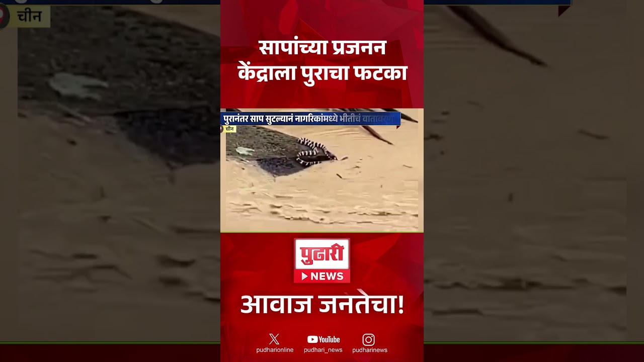 Snake Rescue Flood News | सापांच्या प्रजननकेंद्राला पुराचा फटका