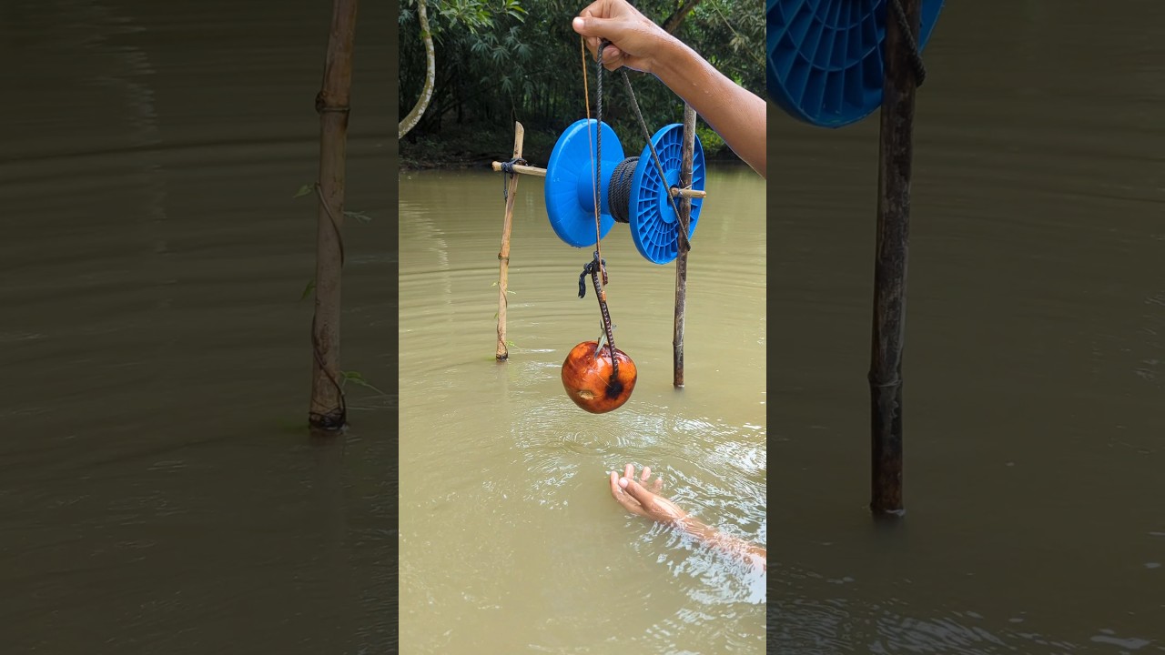 Tempting palm fruit bait, by fish catch#fishing#shorts