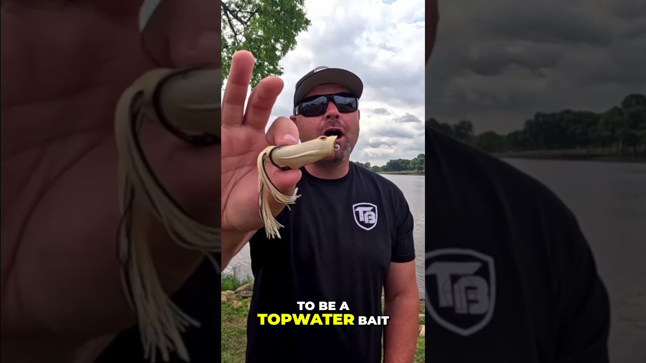 #1 POND Bait Of All Time?!