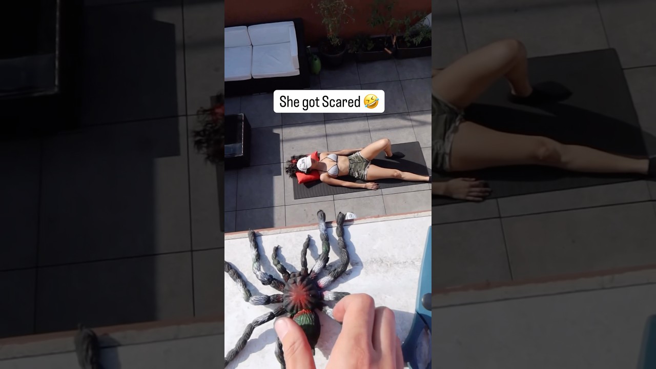 I Put a Spider on My Wife 😱 #Pranks #Married #Prank