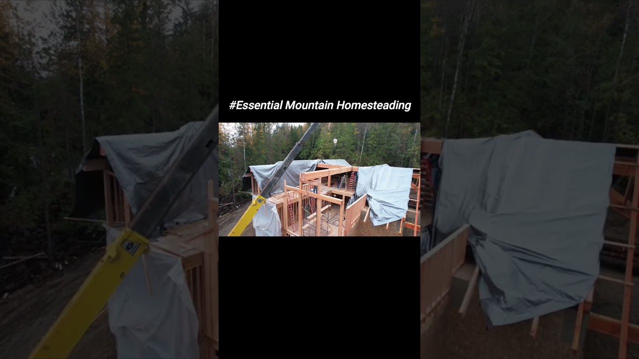 Timber Frame vs Conventional Stick Frame #timberframe #timberframing