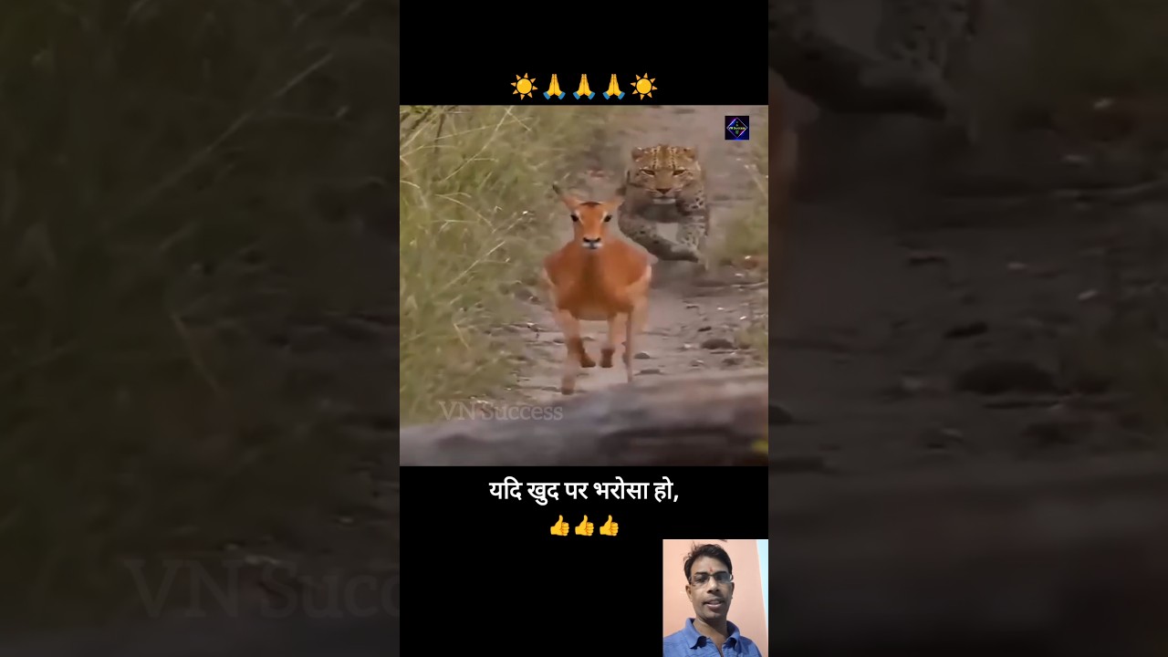 यदि खुद पर भरोसा हो तो, #story #motivation #storytime