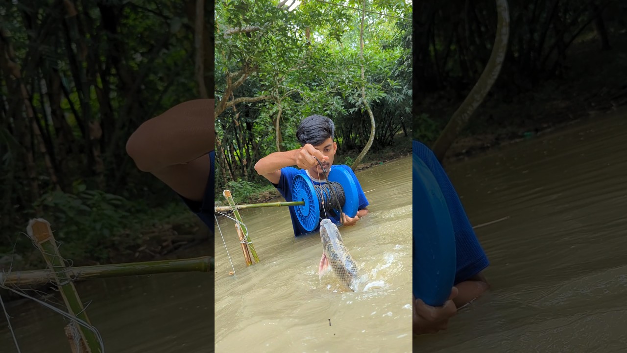 The Unique Trapping Fishing System, with rollar hook(part)6#fish#shortsightedly