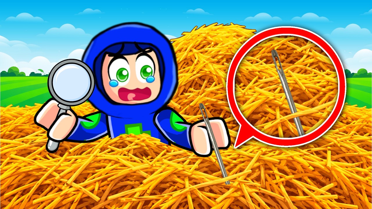 ROBLOX FIND THE NEEDLE…