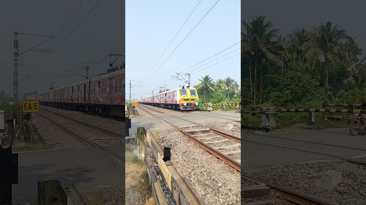 Furious Aerodynamic Emu at Railgate #shorts