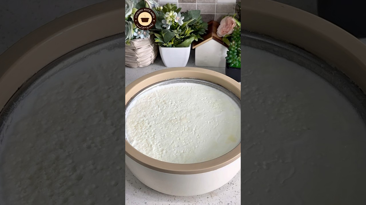 Market kay jesi malai wali dahi jamaney ka tarika - dahi banane ka tarika - food recipes