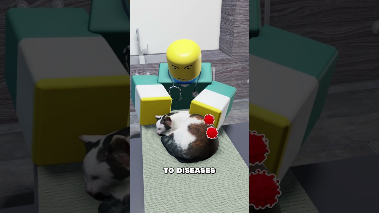 Could You Work as a Veterinarian?😨🐶