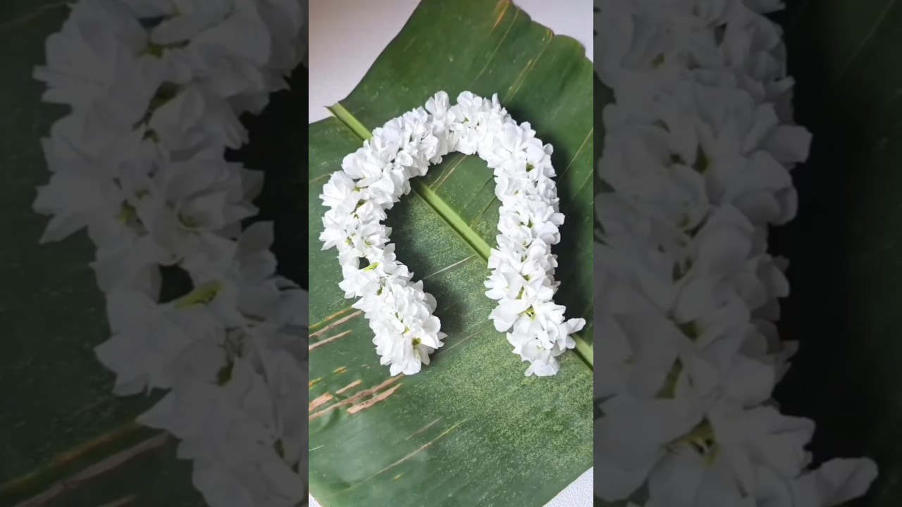 DIY gajra 🕊️😲 #diy #art #homemade #youtube #shorts #viral #hack #gajra #athome #pritam # #reels
