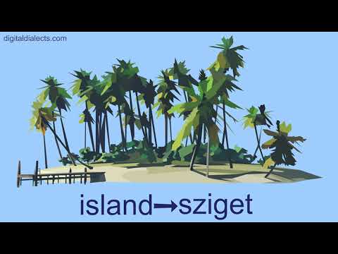 Hungarian General Vocabulary
