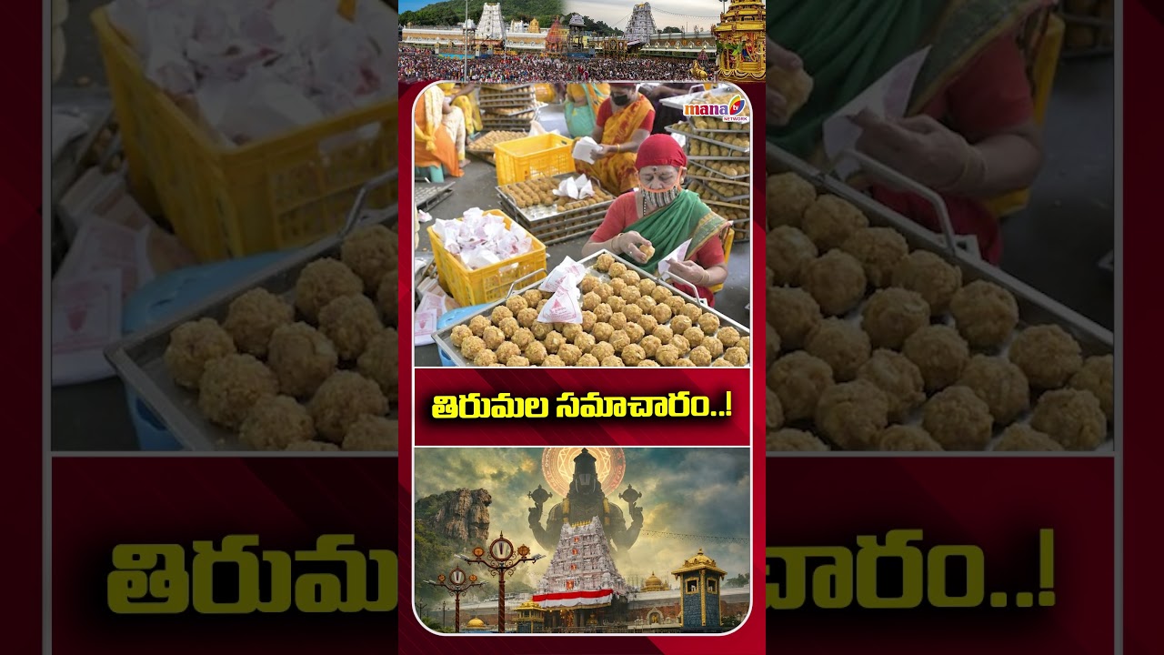 తిరుమల సమాచారం Tirupati Balaji Latest Information 17-09-26 Tirumala Update #thirupathi #manatvlive