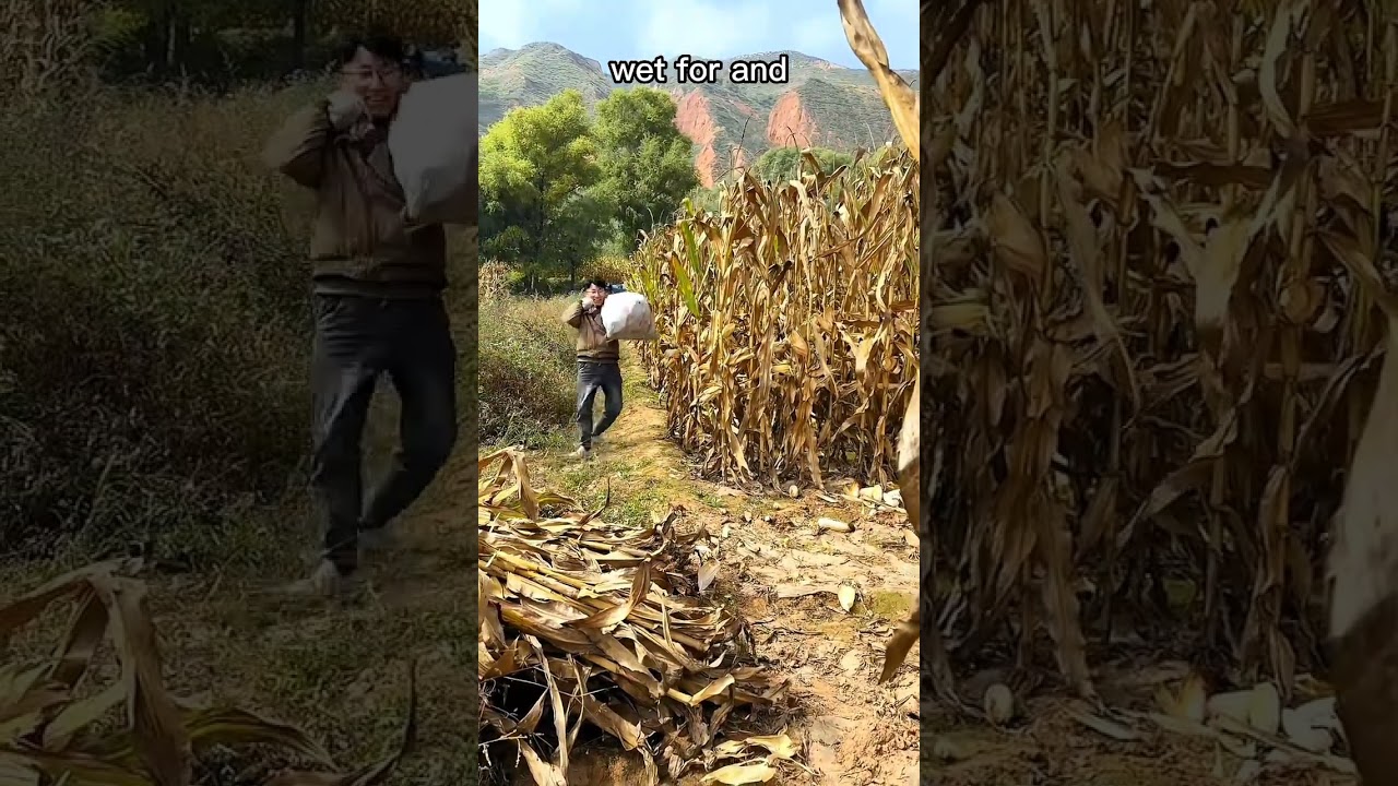 funny video | interesting shorts | #reaction #funny #respect #trending #viral