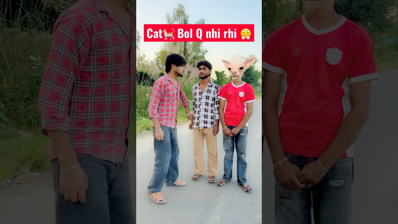 Cat 🐈 Kuch bol Q nhi rhi 😳😤 #comedy #ytshorts #shorts #shortsfeed #viralvideo #trending