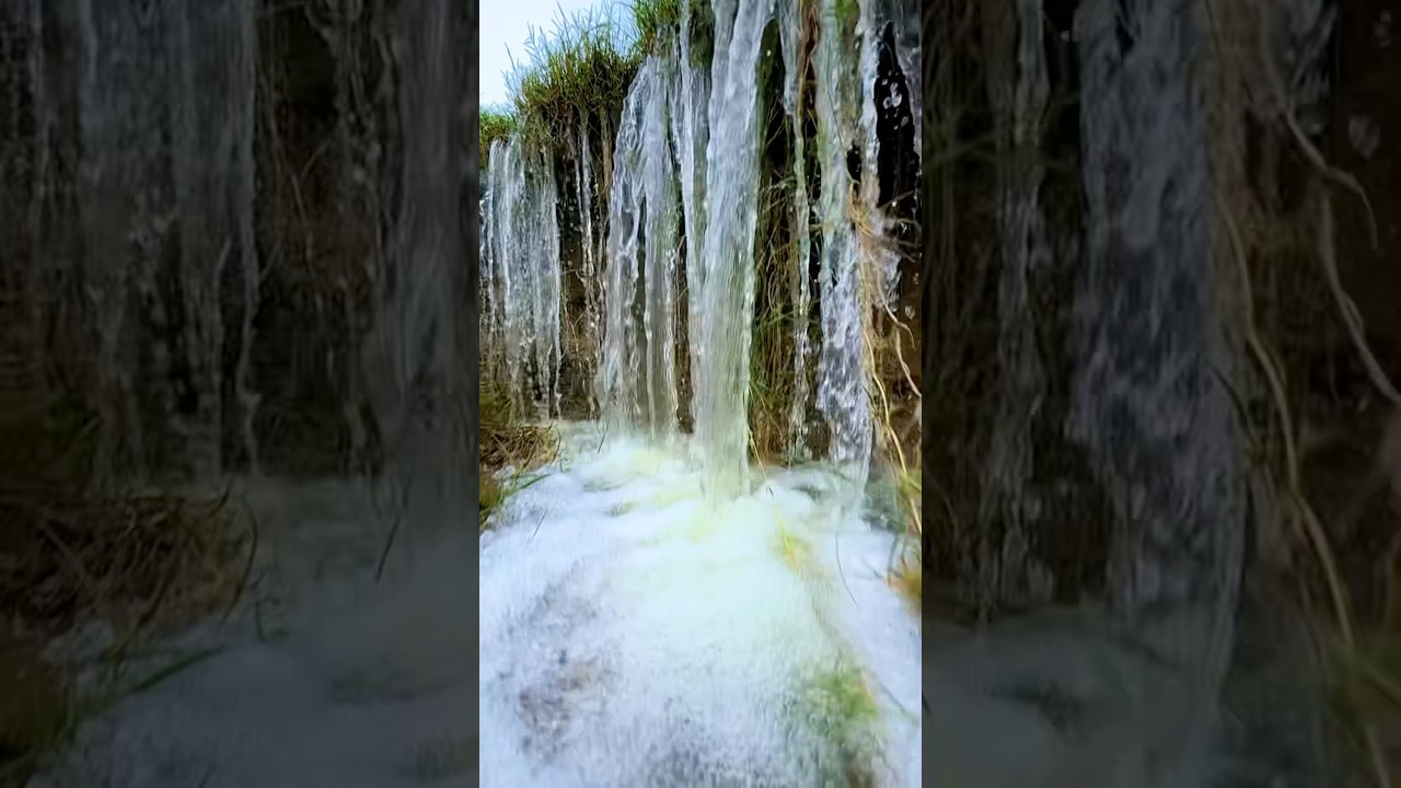 Amazing nature videography idea 👀 #shorts #nature