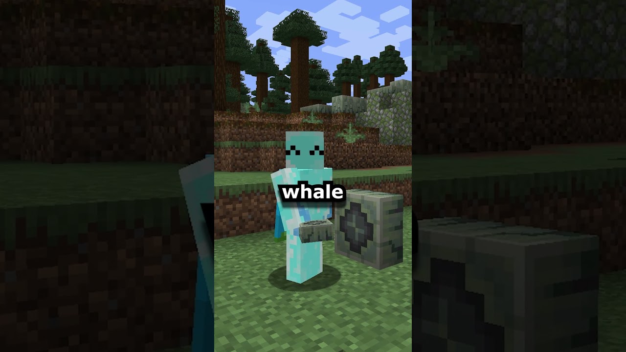 What If Minecraft had Whales | Whaleborne Mod