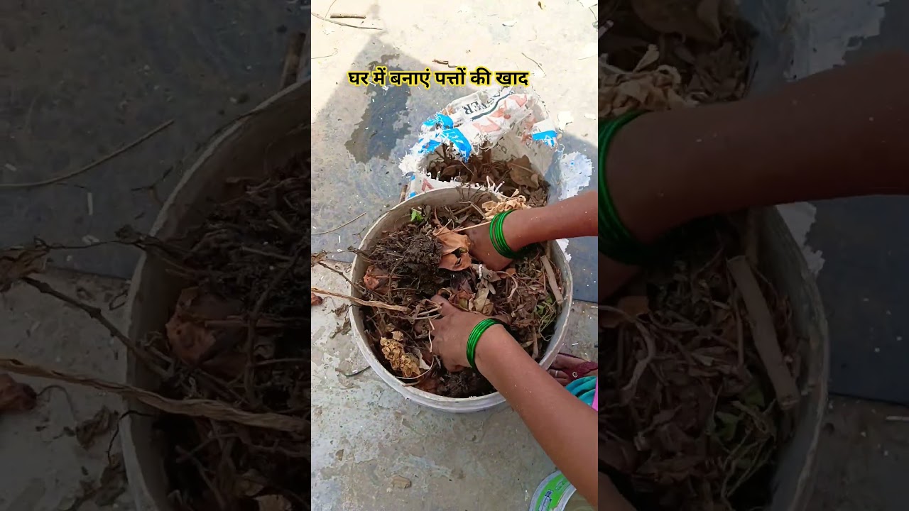 घर में बनाएं पत्तों की खाद #garden #terracegarden #nature #plants #viral