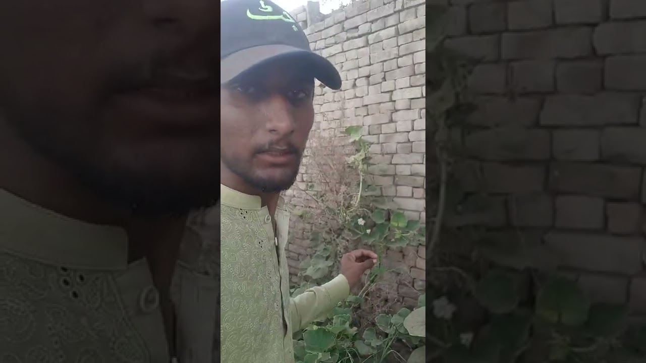 production of kadoo vlog with ch saeed