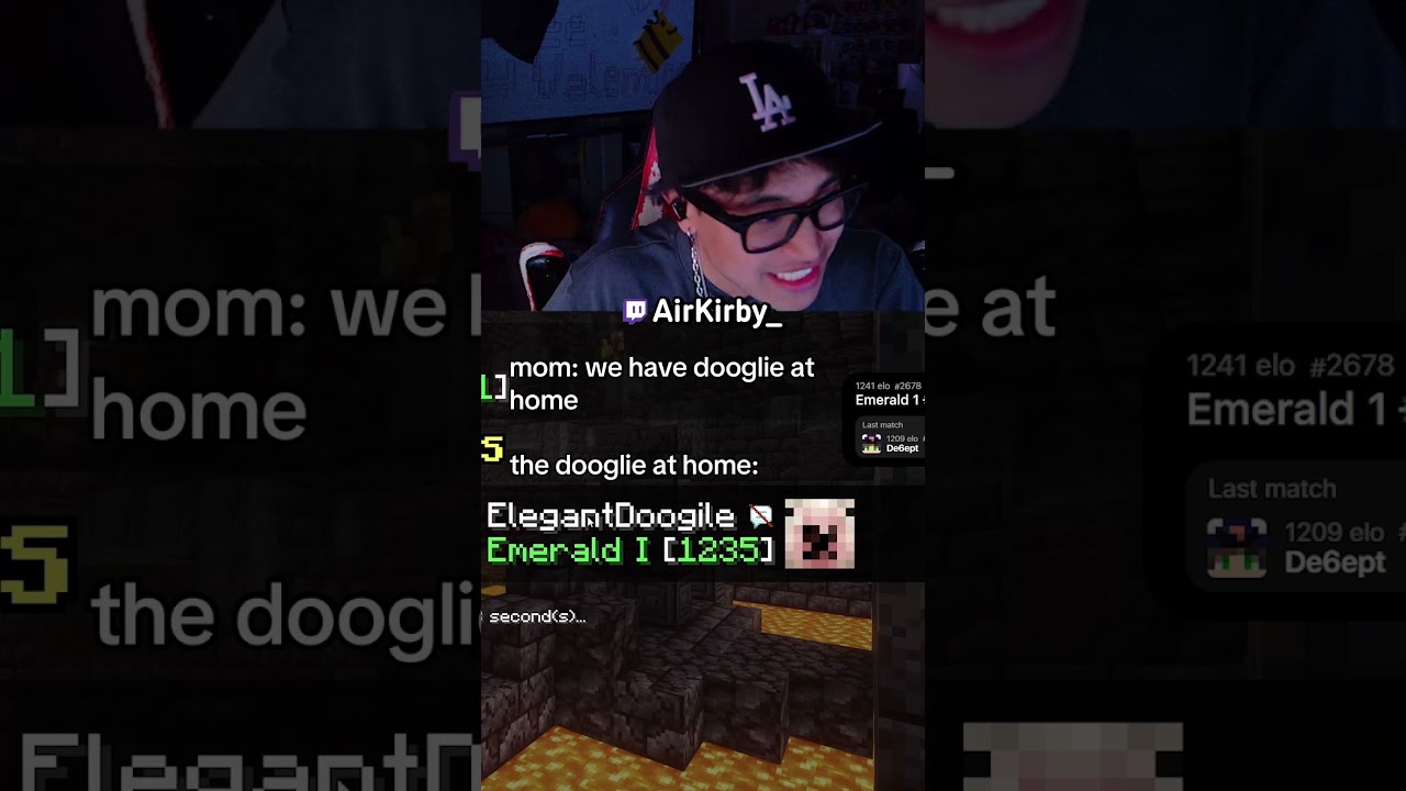 facing walmart dooglie #Minecraft #dooglie #mcsr #streamer #airkirby
