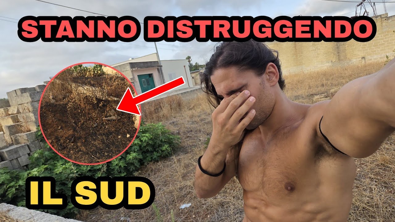 Il SUD non è una terra SANA... 🫤 