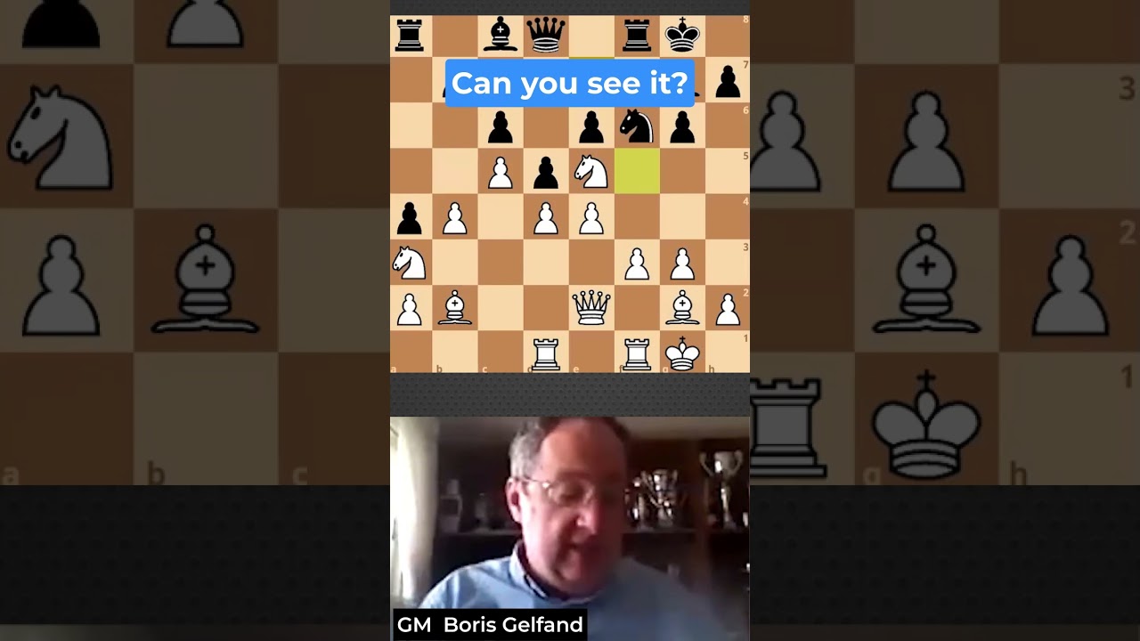 Calculating 12 Moves Ahead - And Playing It | GM Gelfand #chessstrategy #chesspuzzle #chess #puzzle